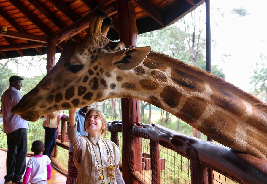 KENYA-NAIROBI-ENVIRONMENT-GIRAFFE CENTER