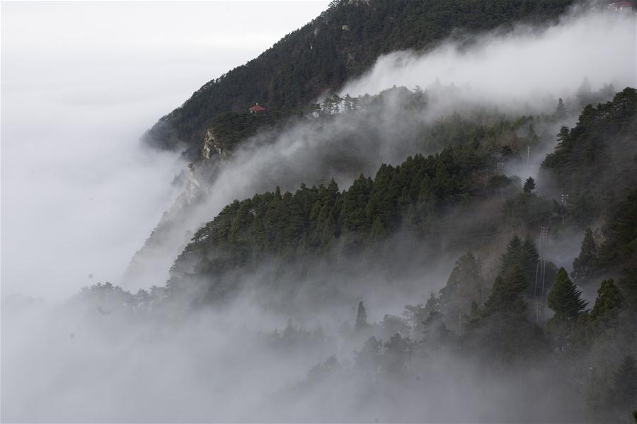 #CHINA-JIANGXI-JIUJIANG-LUSHAN MOUNTAIN-MIST (CN)