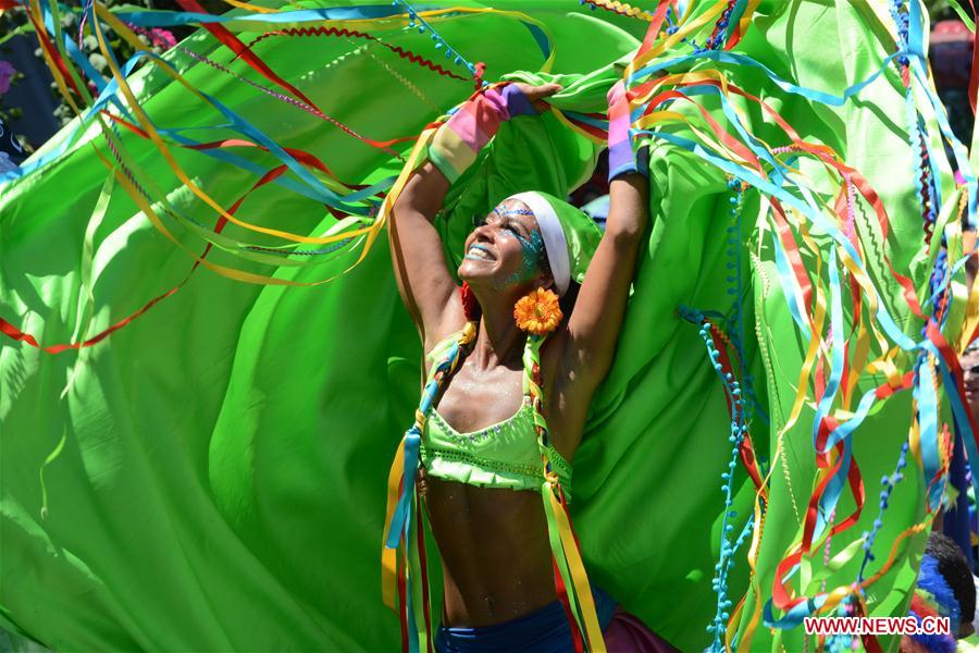 BRAZIL-RIO DE JANEIRO-SOCIETY-CARNIVAL