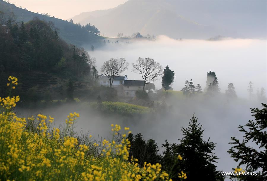 #CHINA-ANHUI-HUANGSHAN-SHITAN VILLAGE-CLOUDS(CN)