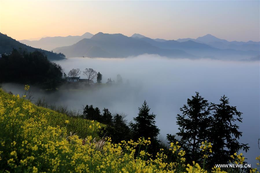 #CHINA-ANHUI-HUANGSHAN-SHITAN VILLAGE-CLOUDS(CN)