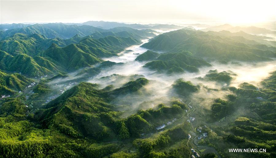 （春季美麗生態(tài)）（2）春光明媚大別山