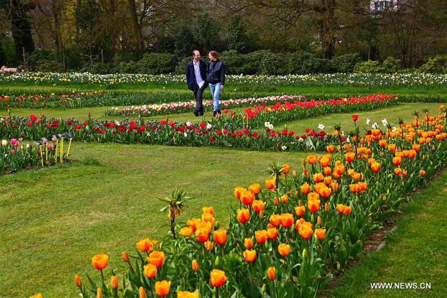 BELGIUM-BRUSSELS-FLORALIA 