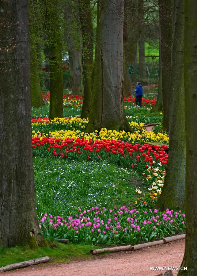 BELGIUM-BRUSSELS-FLORALIA 