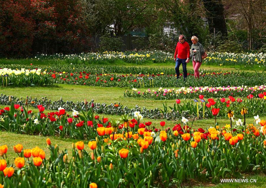 BELGIUM-BRUSSELS-FLORALIA 