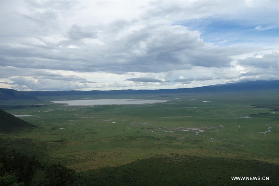 TANZANIA-NGORONGORO CRATER-ANIMAL