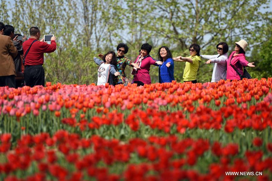 CHINA-BEIJING-SPRING (CN)