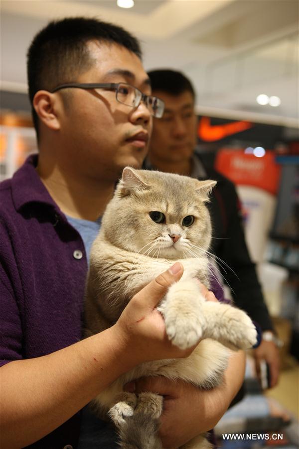 CHINA-LIAONING-WCF CAT SHOW (CN)