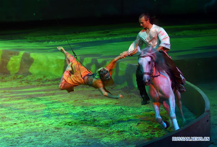 Конное шоу Cavalia в Пекине