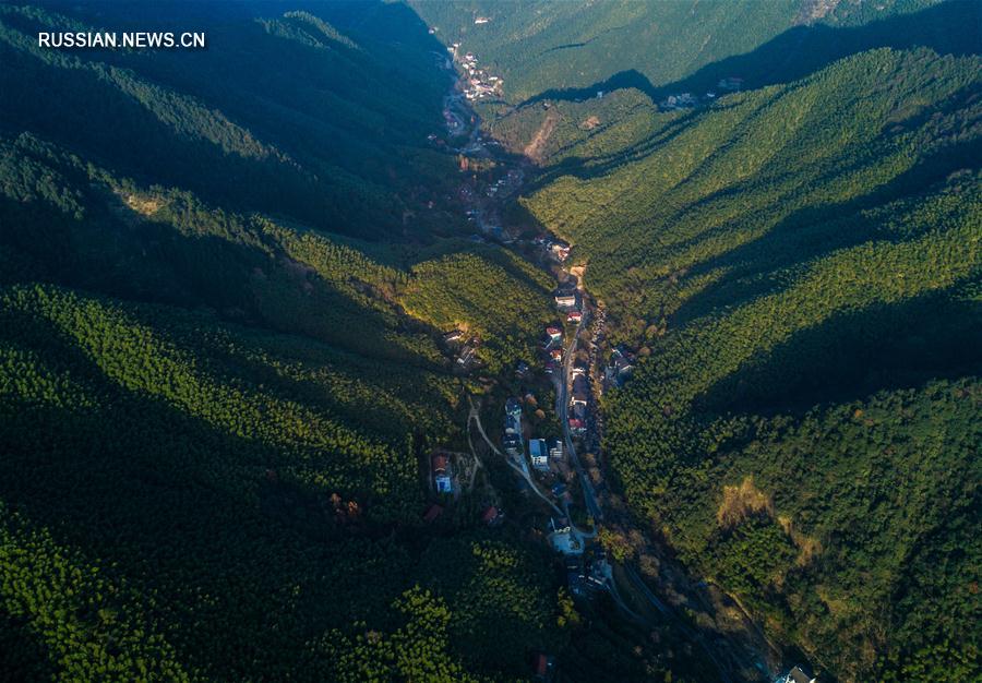 Зимние краски горного леса в уезде Аньцзи