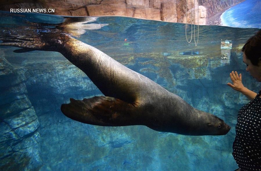 [2]（外代二線）探訪濱海海洋水族館