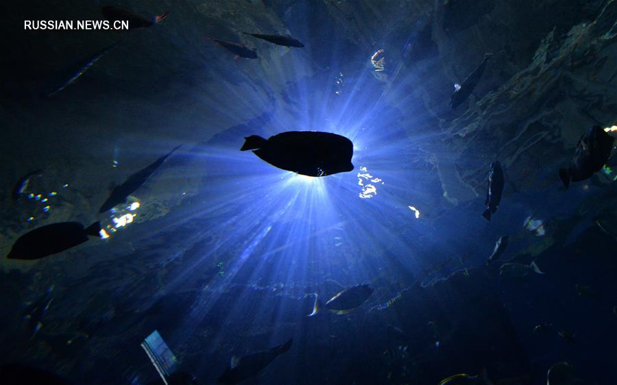 [3]（外代二線）探訪濱海海洋水族館