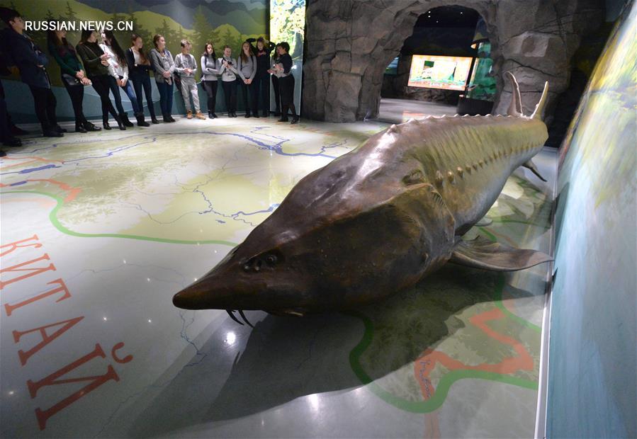 [9]（外代二線）探訪濱海海洋水族館