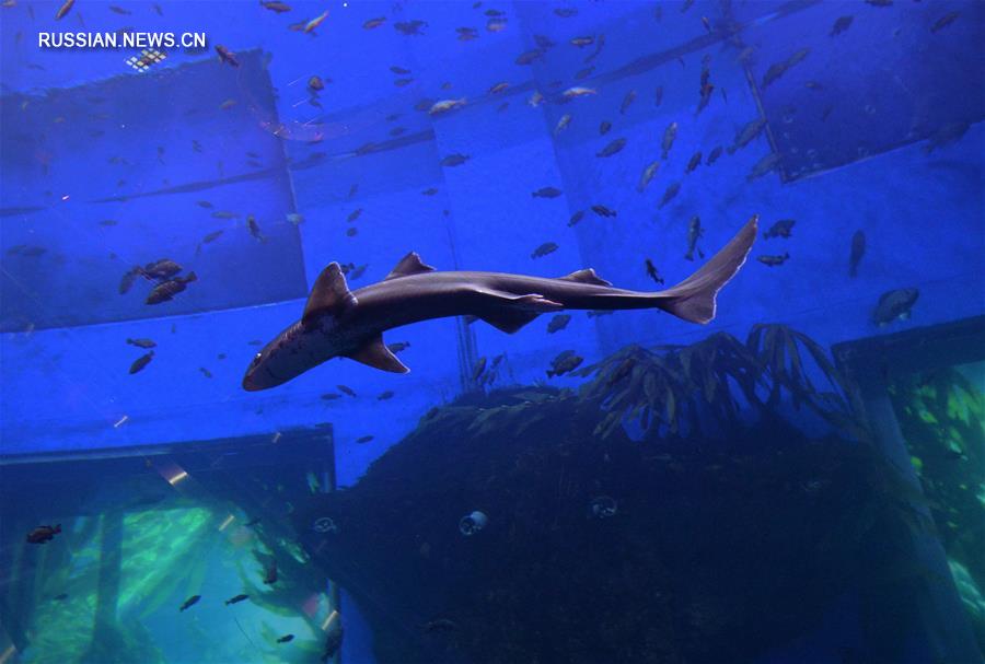 [13]（外代二線）探訪濱海海洋水族館