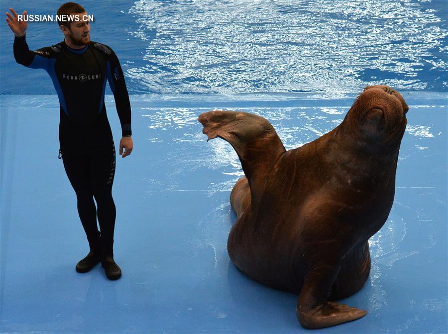 [8]（外代二線）探訪濱海海洋水族館