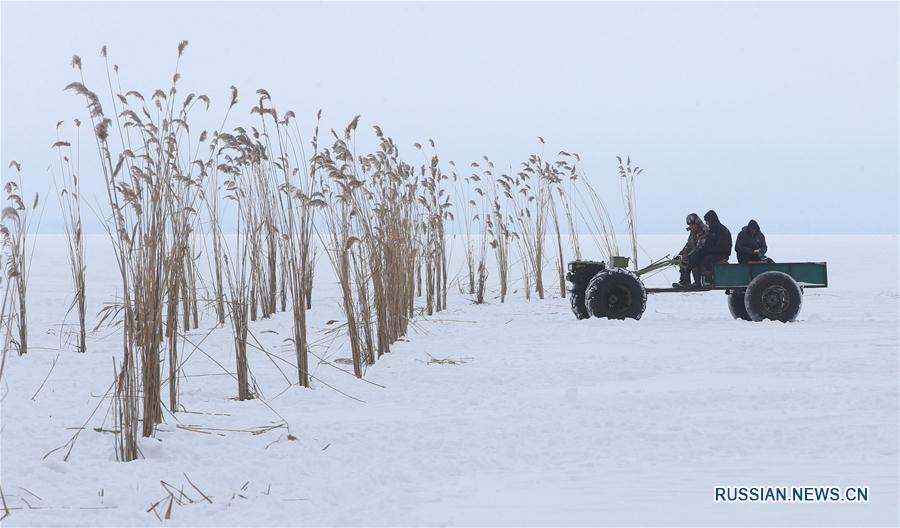 Экологическая акция "Глоток воздуха" на Киевском водохранилище