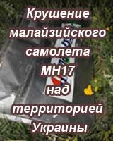 Крушение малайзийского пассажирского самолета MH17 над территорией Украины