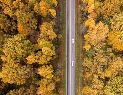 Прекрасные осенние пейзажи в Литве