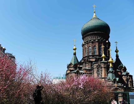 Фото: Церковь Святой Софии в Харбине