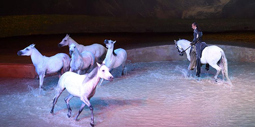 Конное шоу Cavalia в Пекине