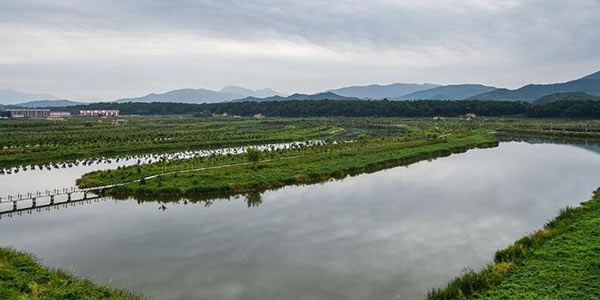 Благодаря восстановительным мероприятиям качество воды и экология на реке Сунхуацзян улучшились