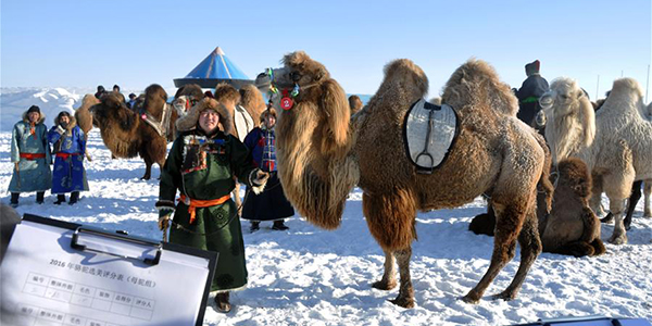 "Зимний Надам" открылся в Хулун-Буире