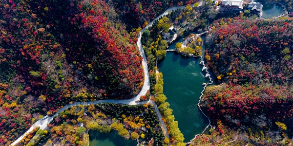 Осенние пейзажи в горах Цзюжушань