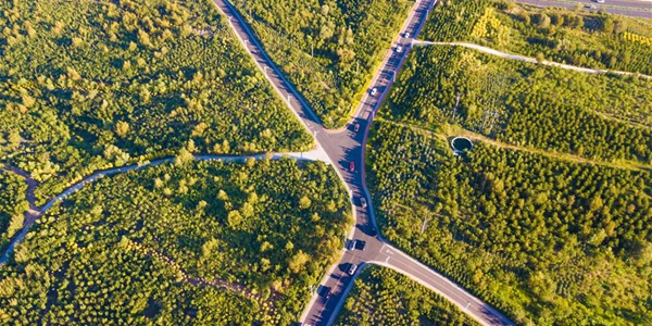 Восстановление и благоустройство экосреды в Уланчабе