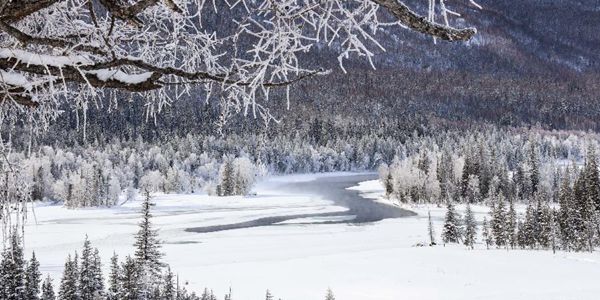 Завораживающая красота зимнего Канаса