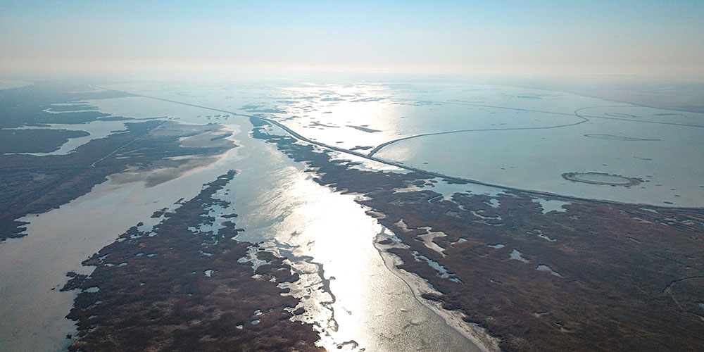 Вид с воздуха на водно-болотные угодья в устье реки Хуанхэ