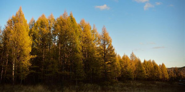 Национальный парк во Внутренней Монголии -- вся палитра осени