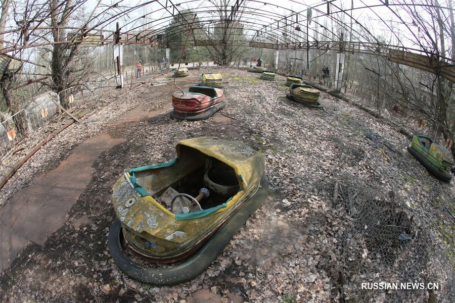 В зоне отчуждения Чернобыльской АЭС открыли заповедник