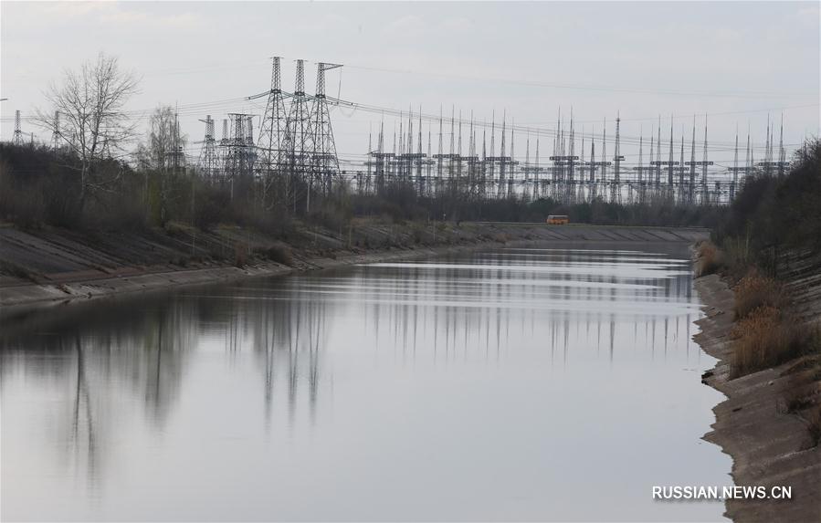 В зоне отчуждения Чернобыльской АЭС открыли заповедник