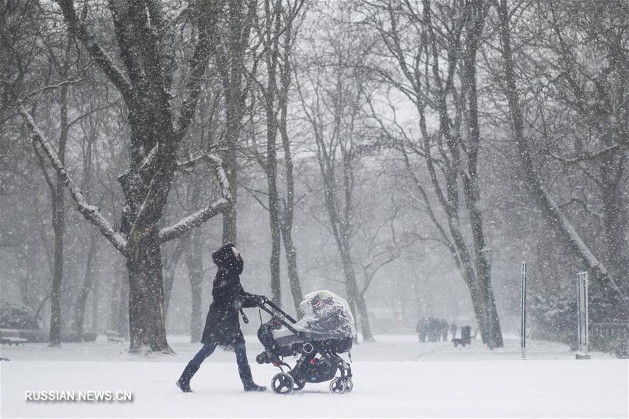 Первый в 2019 году снег в Брюсселе